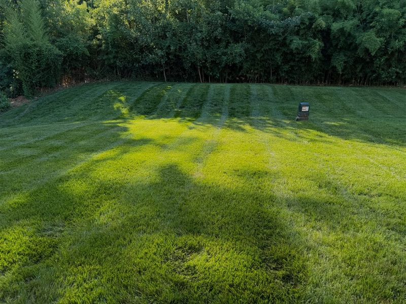 Broad back lawn mowed in stripes to the edge of a bamboo and tree line
