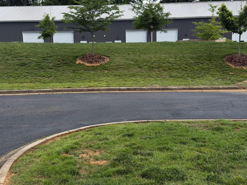 Commercial lawn mowed on both sides of a service road, with mulched rings around young trees
