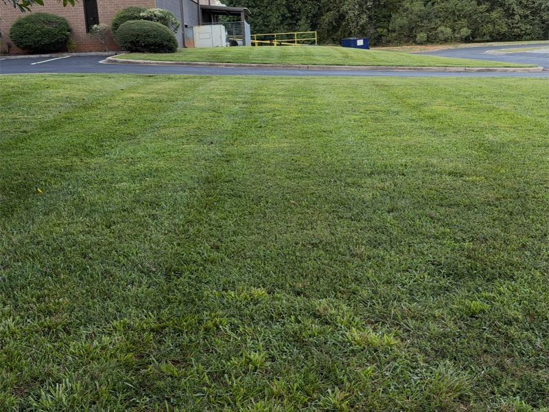 Wide commercial lawn mowed to the edge of a paved drive beside a brick office building