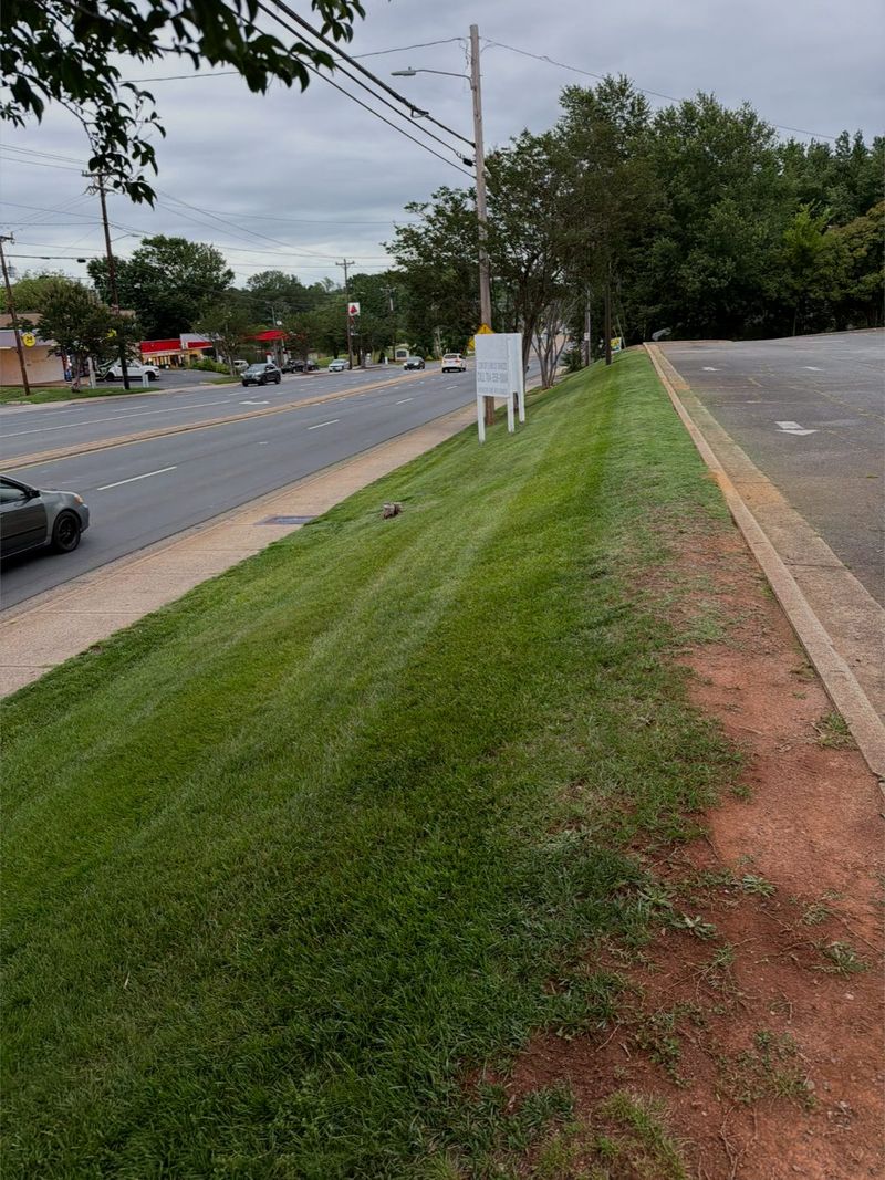 Long roadside verge mowed and trimmed along a main road beside a car park