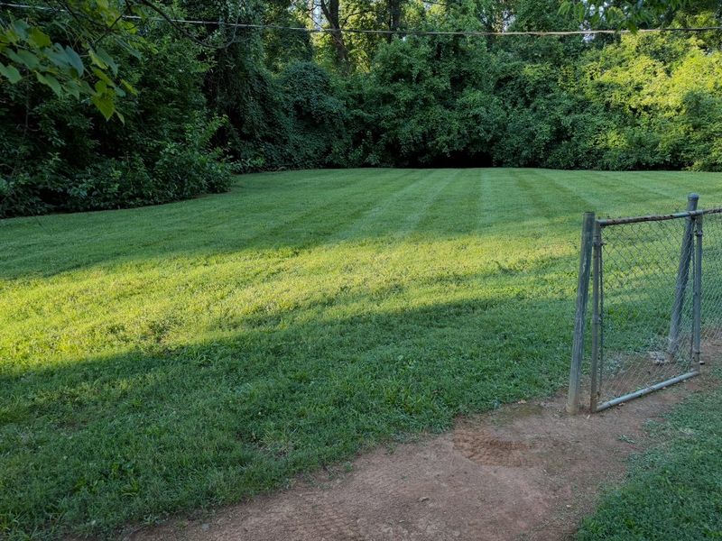 Mowed back lawn with cut stripes running to a tree line, beside an open chain link gate
