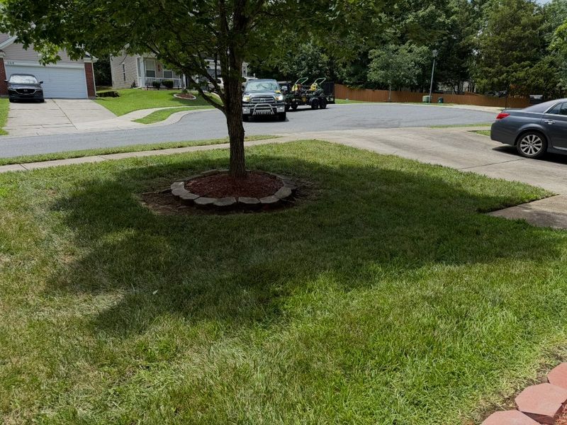 Front lawn mowed around a tree set in a brick-edged mulch ring, with the street beyond