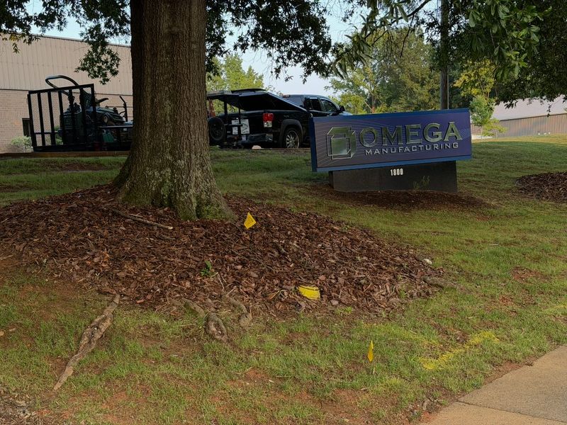 Fresh hardwood mulch laid in a wide ring around a mature tree at a business entrance