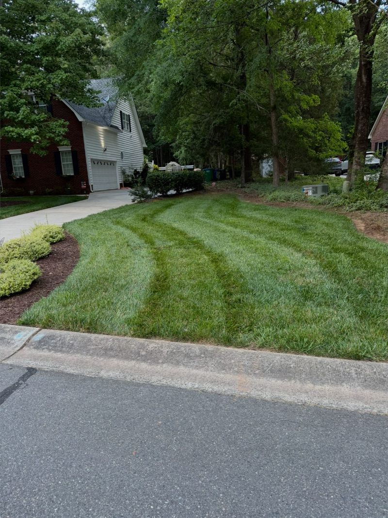 Sloped front lawn mowed in curved stripes running down to the kerb